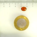 ITLGR_104092_SCALE.webp