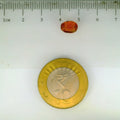 ITLGR_104095_SCALE.webp