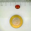 ITLGR_104096_SCALE.webp