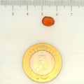 ITLGR_104097_SCALE.webp