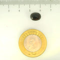 ITLGR_104099_SCALE.webp
