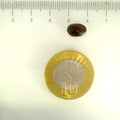 ITLGR_104101_SCALE.webp