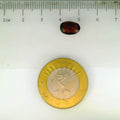 ITLGR_104103_SCALE.webp