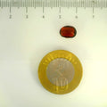 ITLGR_104105_SCALE.webp
