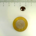 ITLGR_104106_SCALE.webp