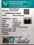 ITLGR_104108_CERTIFICATE.webp