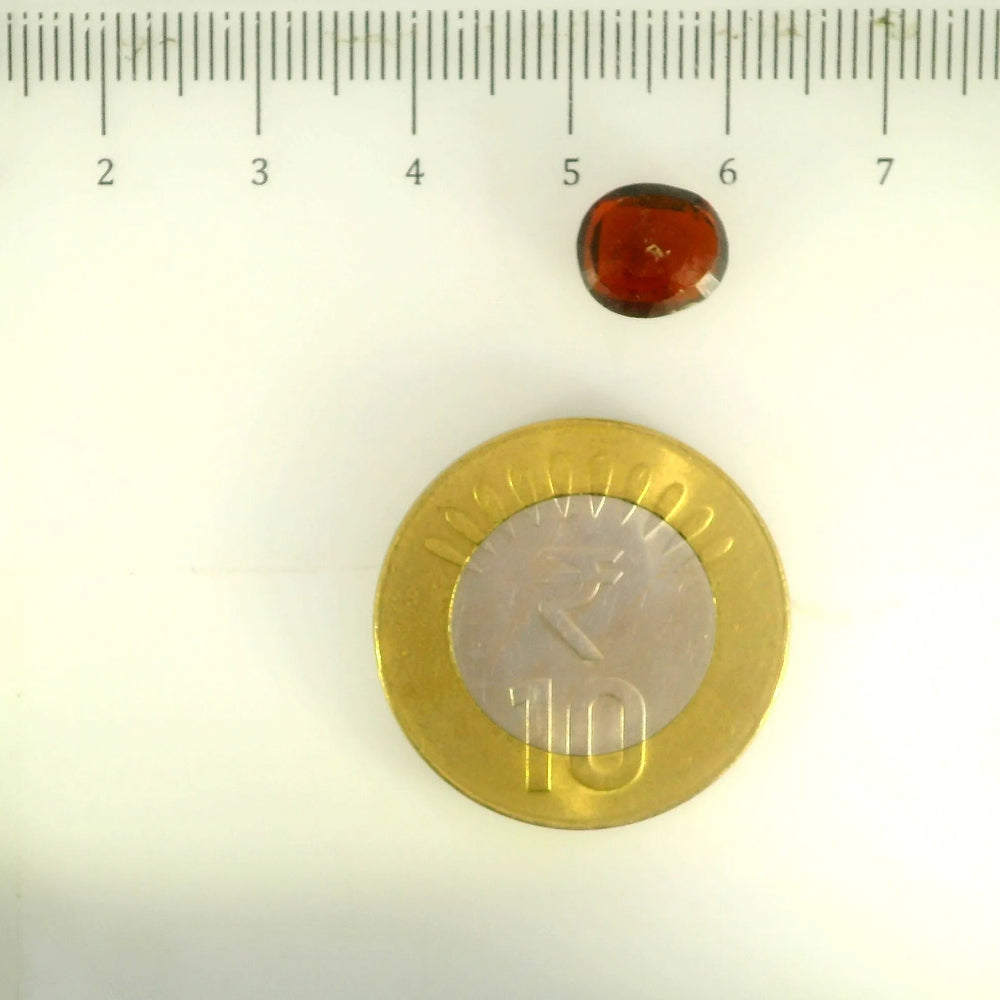 ITLGR_104111_SCALE.webp