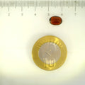 ITLGR_104117_SCALE.webp