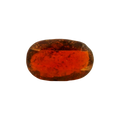 ITLGR_104118_FRONT.png