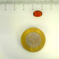 ITLGR_104121_SCALE.webp