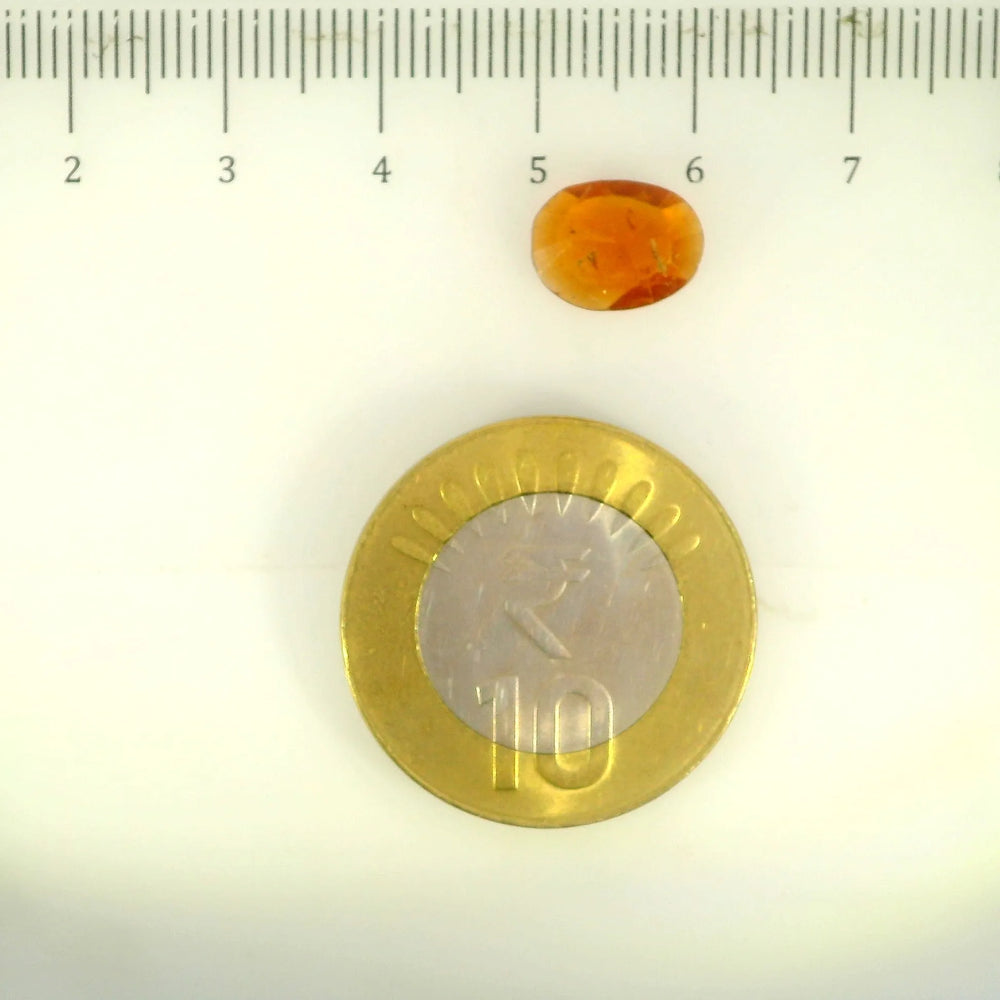 ITLGR_104123_SCALE.webp