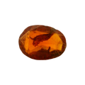 ITLGR_104124_FRONT.png
