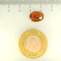 ITLGR_104124_SCALE.webp