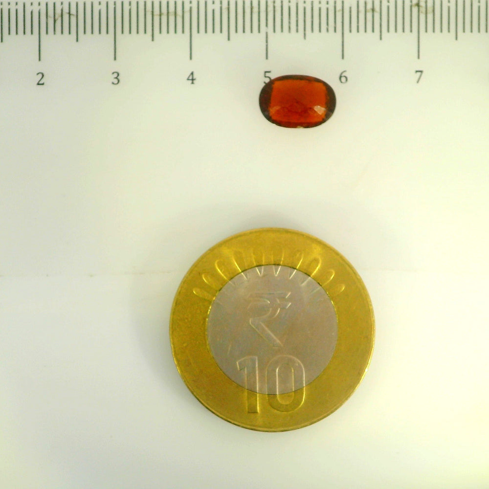 ITLGR_104130_SCALE.webp