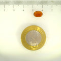 ITLGR_104134_SCALE.webp