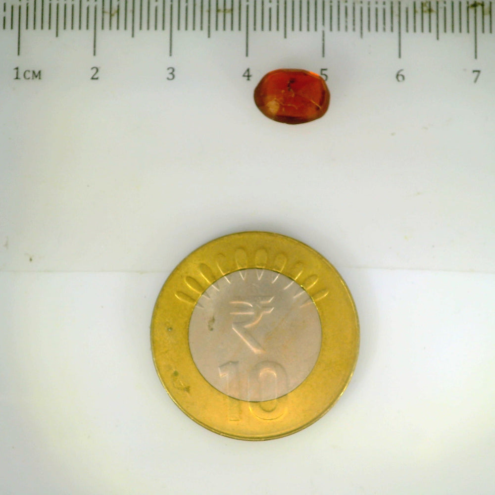 ITLGR_104135_SCALE.webp