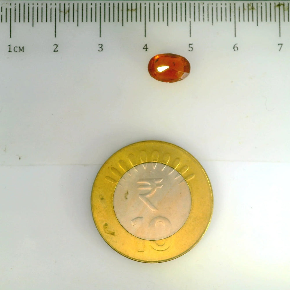 ITLGR_104142_SCALE.webp