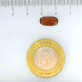 ITLGR_104155_SCALE.webp