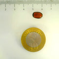 ITLGR_104156_SCALE.webp