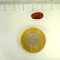 ITLGR_104157_SCALE.webp