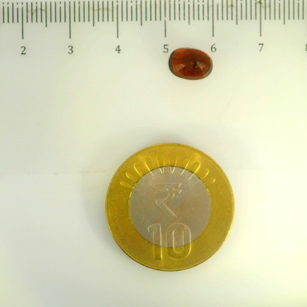 ITLGR_104158_SCALE.webp