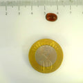 ITLGR_104158_SCALE.webp