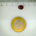 ITLGR_104161_SCALE.webp