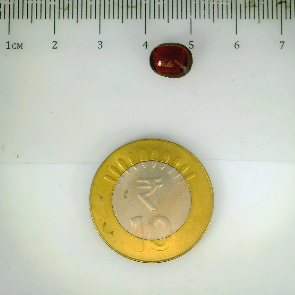 ITLGR_104161_SCALE.webp