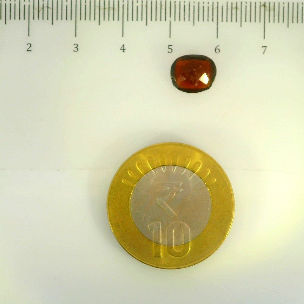 ITLGR_104164_SCALE.webp