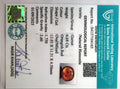 ITLGR_104165_CERTIFICATE.webp