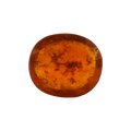 ITLGR_104165_FRONT.png