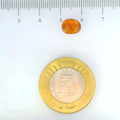 ITLGR_104166_SCALE.webp