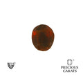 ITLGR_104167_TOP.webp