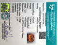 ITLGR_104168_CERTIFICATE.webp