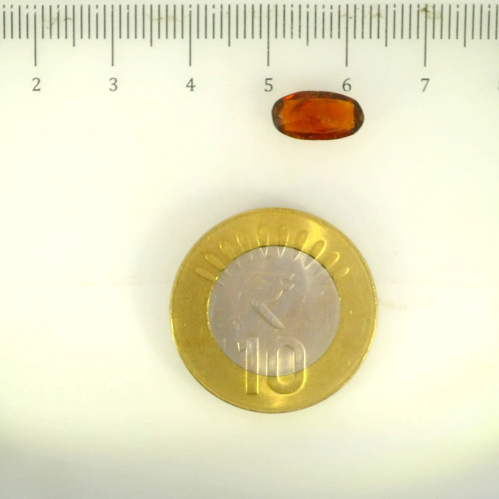 ITLGR_104171_SCALE.webp