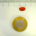 ITLGR_104172_SCALE.webp