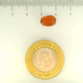 ITLGR_104173_SCALE.webp