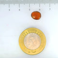 ITLGR_104176_SCALE.webp