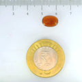 ITLGR_104181_SCALE.webp