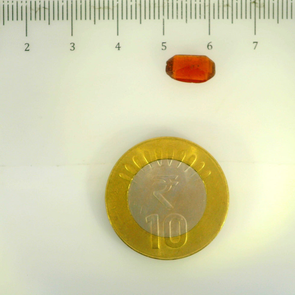 ITLGR_104183_SCALE.webp