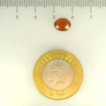 ITLGR_104187_SCALE.webp