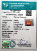 ITLGR_104189_CERTIFICATE.webp