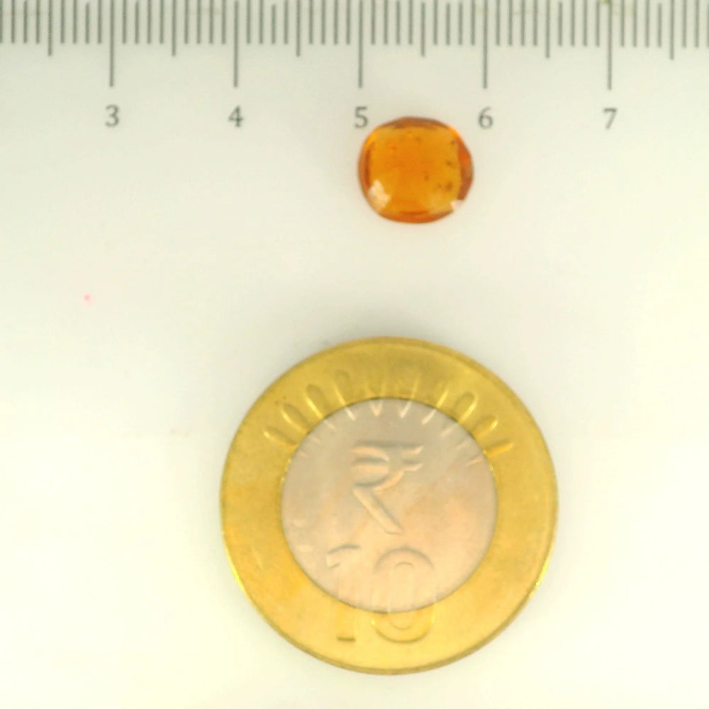 ITLGR_104189_SCALE.webp