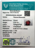 ITLGR_104192_CERTIFICATE.webp