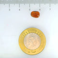 ITLGR_104192_SCALE.webp