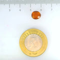 ITLGR_104193_SCALE.webp
