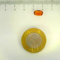 ITLGR_104196_SCALE.webp