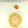 ITLGR_104199_SCALE.webp