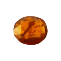 ITLGR_104200_FRONT.png