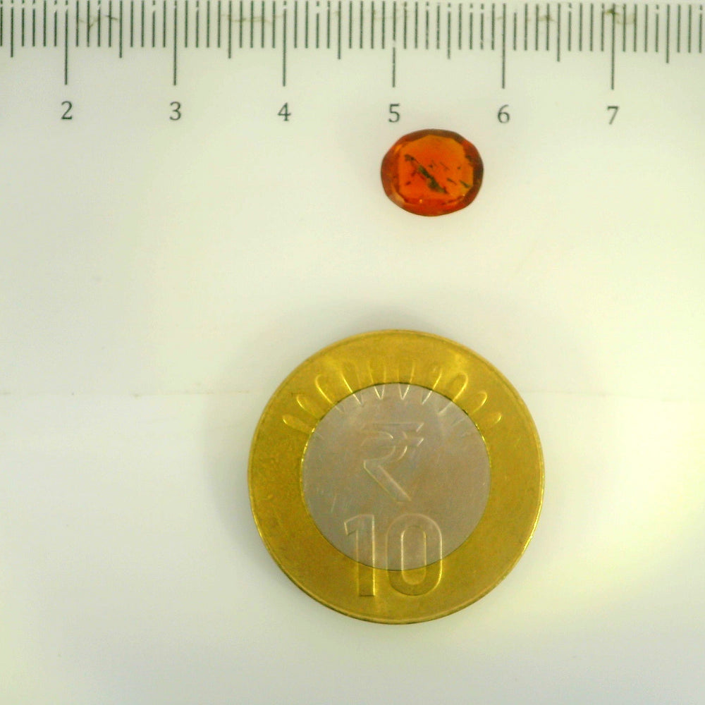 ITLGR_104200_SCALE.webp